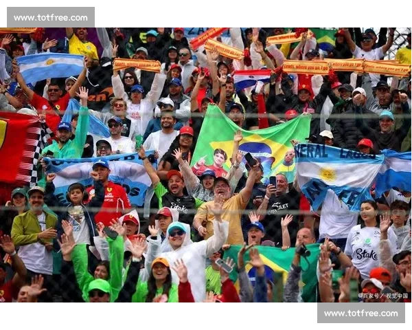 非洲雄鹰振翅！2026世界杯热门球队的非洲奇迹！