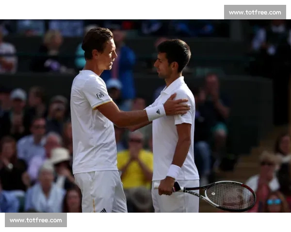 温网男单谁主沉浮一众好手谁能笑到最后！